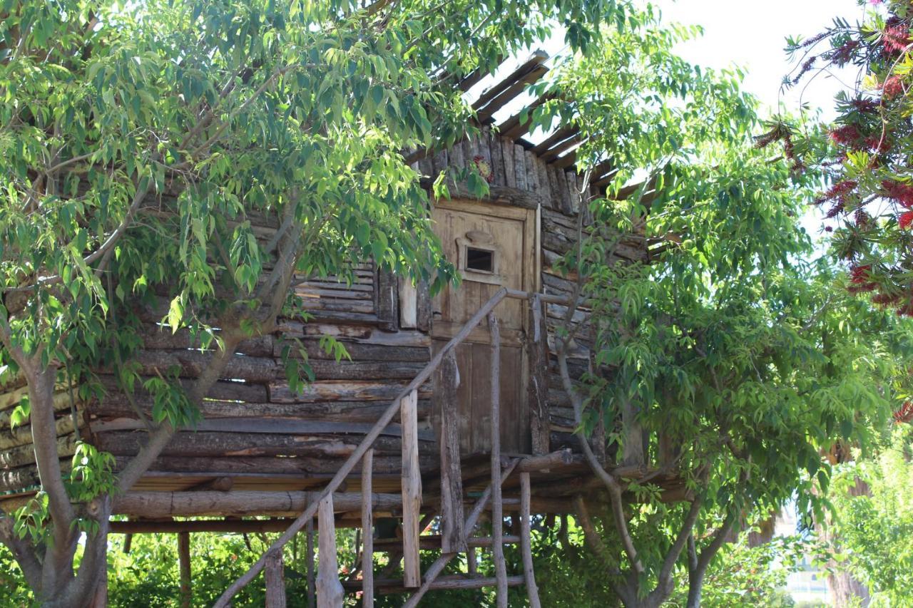 Agriturismo Ruralia Santa Domenica  Εξωτερικό φωτογραφία