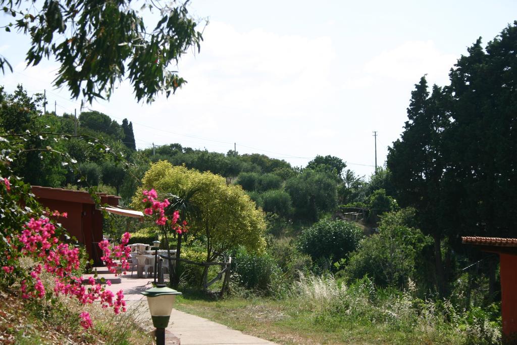 Agriturismo Ruralia Santa Domenica  Εξωτερικό φωτογραφία