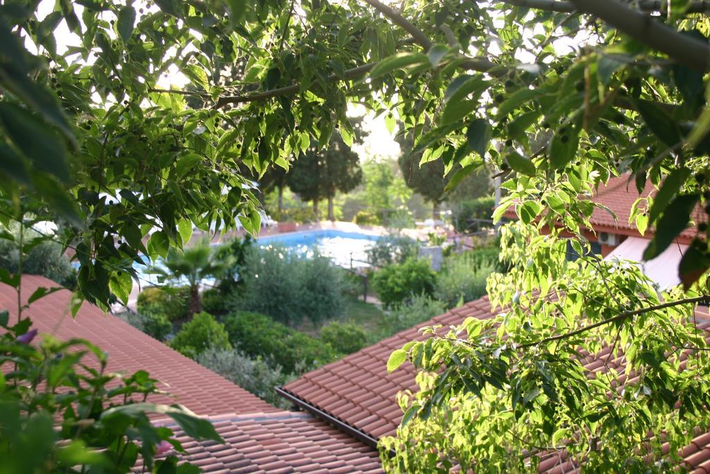 Agriturismo Ruralia Santa Domenica  Εξωτερικό φωτογραφία