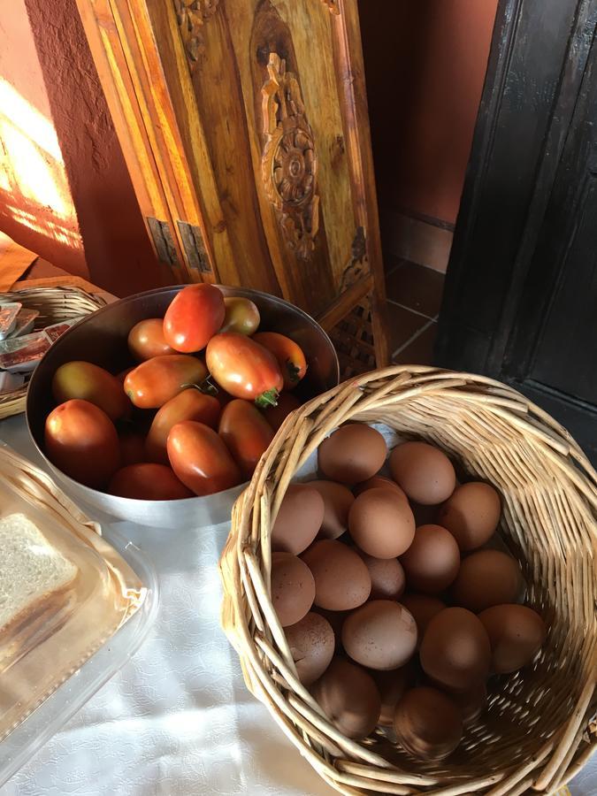 Agriturismo Ruralia Santa Domenica  Εξωτερικό φωτογραφία
